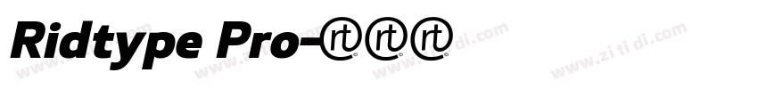 Ridtype Pro字体转换